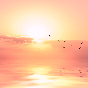 人xxxx性xxxxx欧美
